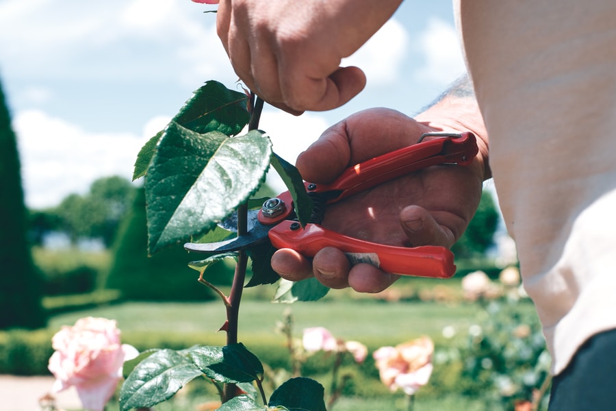 Illustration pour Entretien